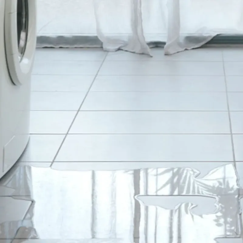 Appliance Leak Cleanup in Campbell, MO