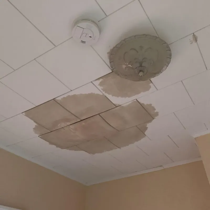 Ceiling Water Damage Repair in Campbell, MO