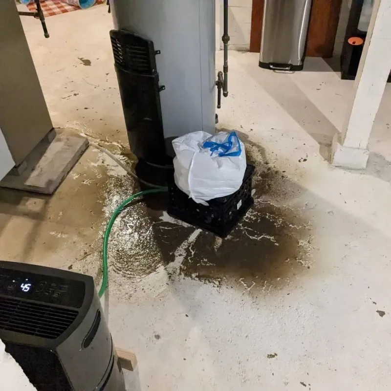 Sewage Backup Cleanup Service in Campbell, MO